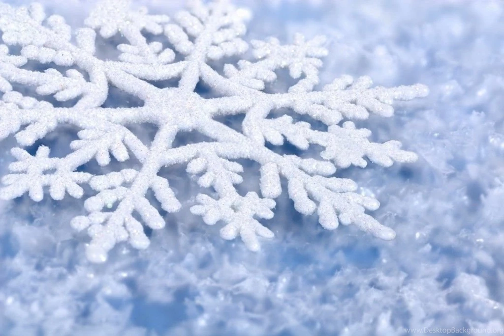 Winter High Definition Winter Snow High Definition Wallpapers