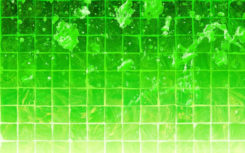 Free Download 44 HD Green Wallpapers For Windows And Mac Systems