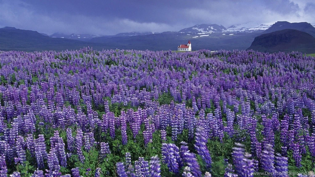 Iceland Wallpapers
