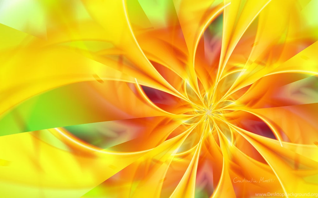Orange Flower Ornament Backgrounds HD