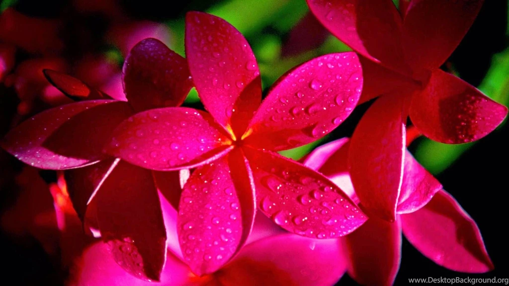 500+ HD Wallpapers For PC 1920x1080 Feee Download 2016