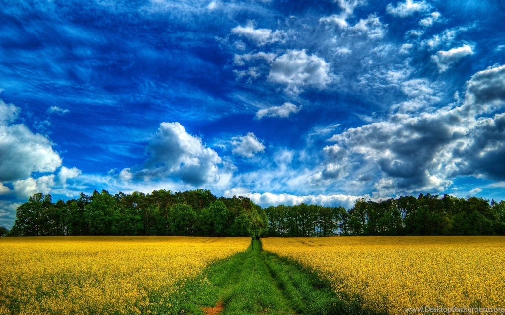 Green Screen Wallpapers