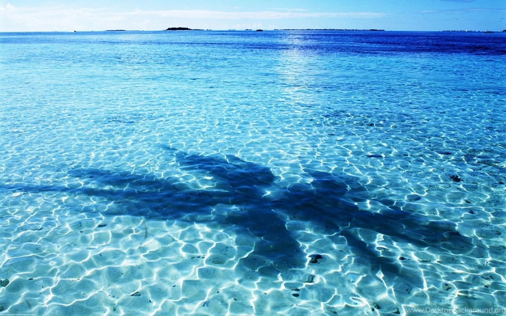 Blue Ocean Backgrounds