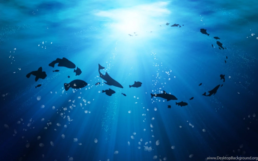 Life Under The Ocean Wallpapers