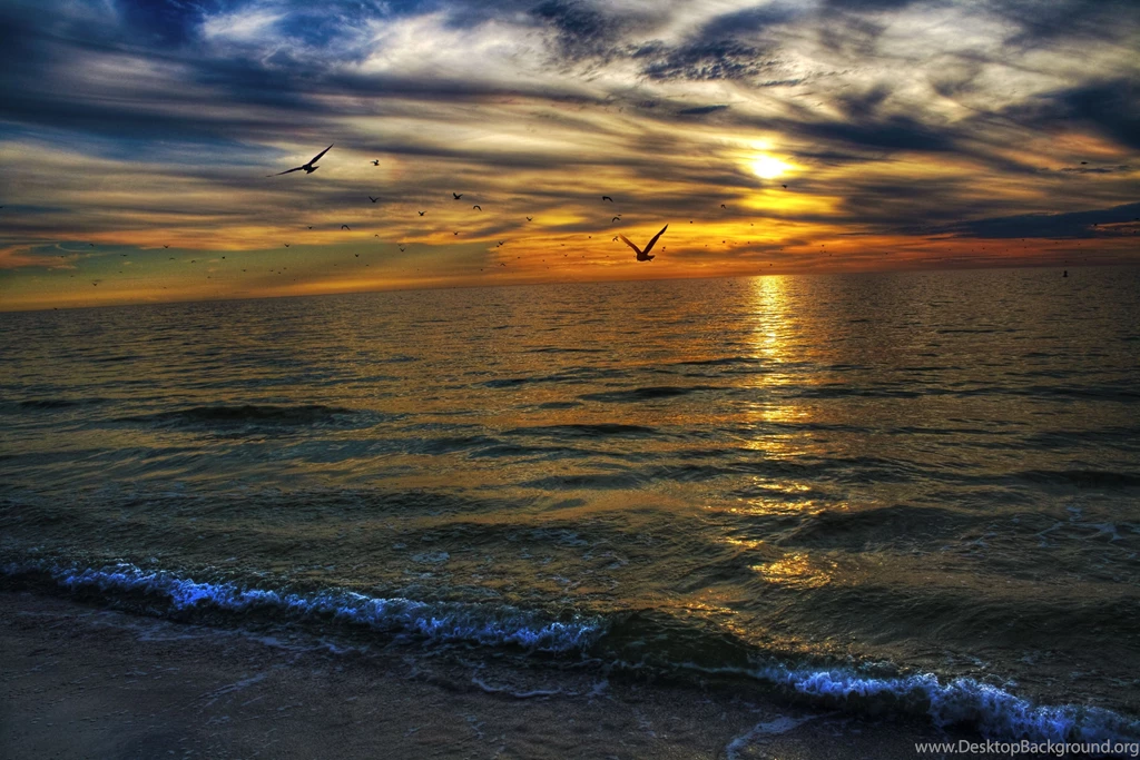 Ocean Wallpaper Backgrounds