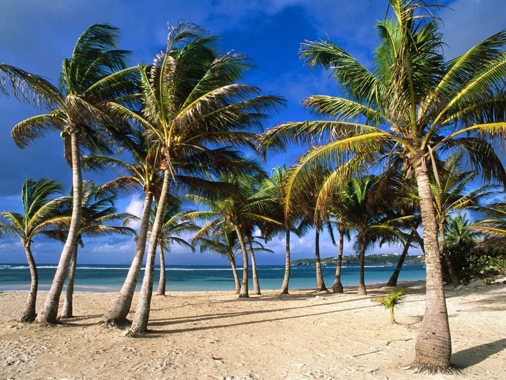 1280x960 La Caravelle Beach Desktop PC And Mac Wallpapers