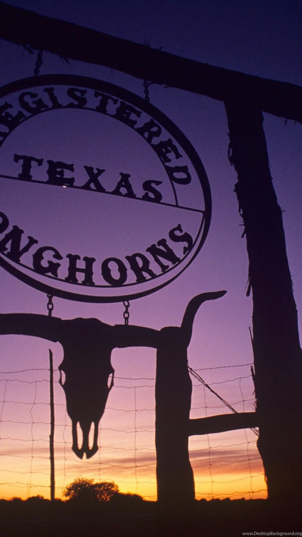 Texas Longhorns Photography Images Wallpapers Ecard ...