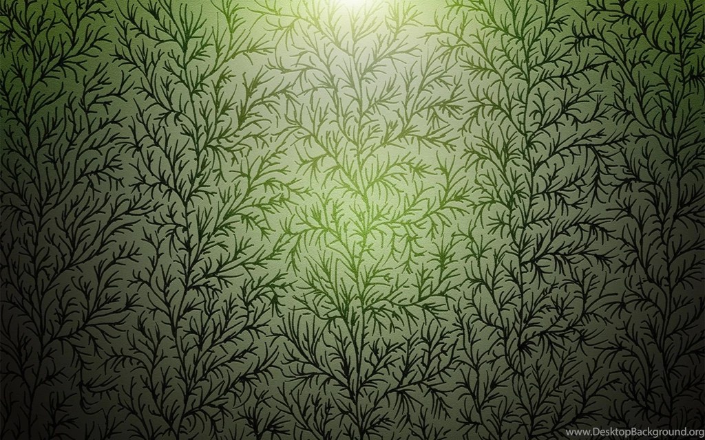Branches Of Wood Texture Wallpapers And Images Wallpapers ...