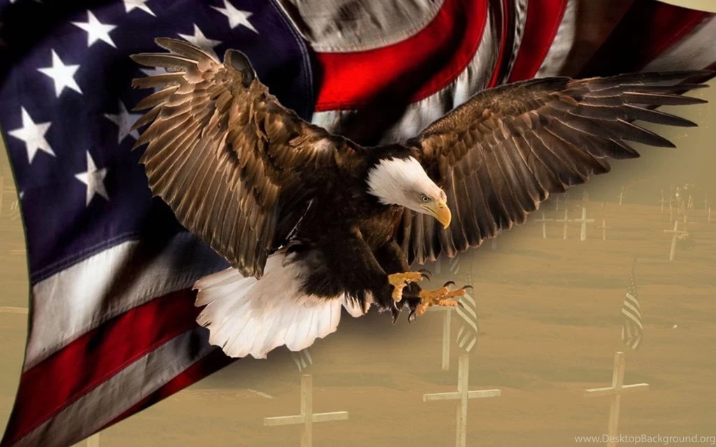 Usa eagle pictures wallpaper.jpg