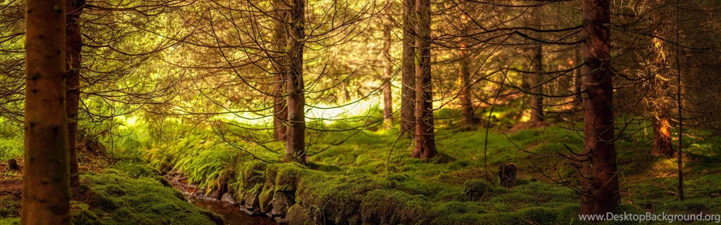Dual Wide Wood Wallpapers HD, Desktop Backgrounds 3840x1200