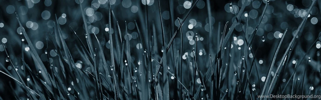 Download Wallpapers 3840x1200 Field, White, Yellow, Black and white ...
