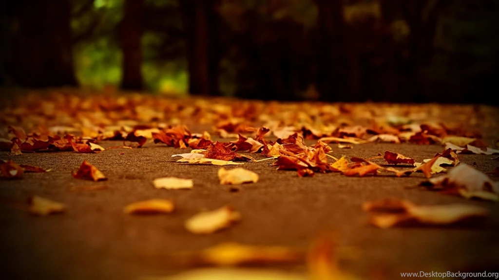 Backgrounds Fall