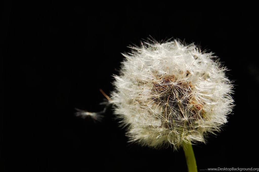 Backgrounds For Desktop 90B