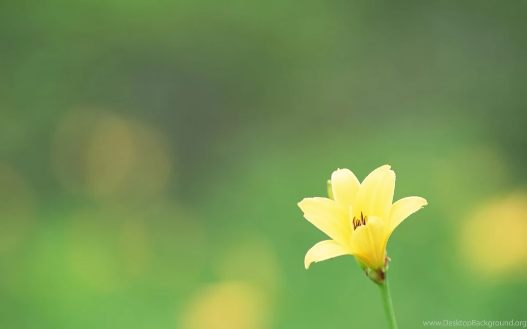 Computer Desktop Backgrounds Photography_ HD Widescreen Wallpapers