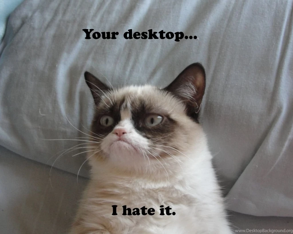 1280x1024 Grumpy Cat Desktop PC And Mac Wallpapers
