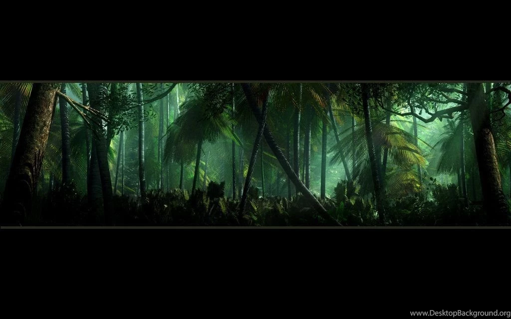 Jungle Wallpapers By Baddog2k7 On DeviantArt