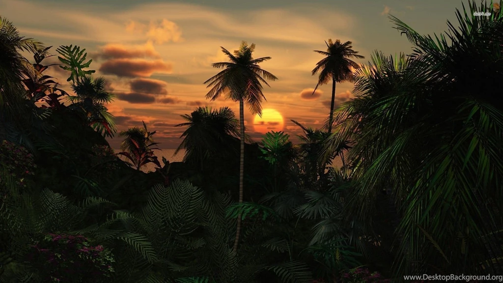 Sunset In The Jungle Wallpapers   Digital Art Wallpapers