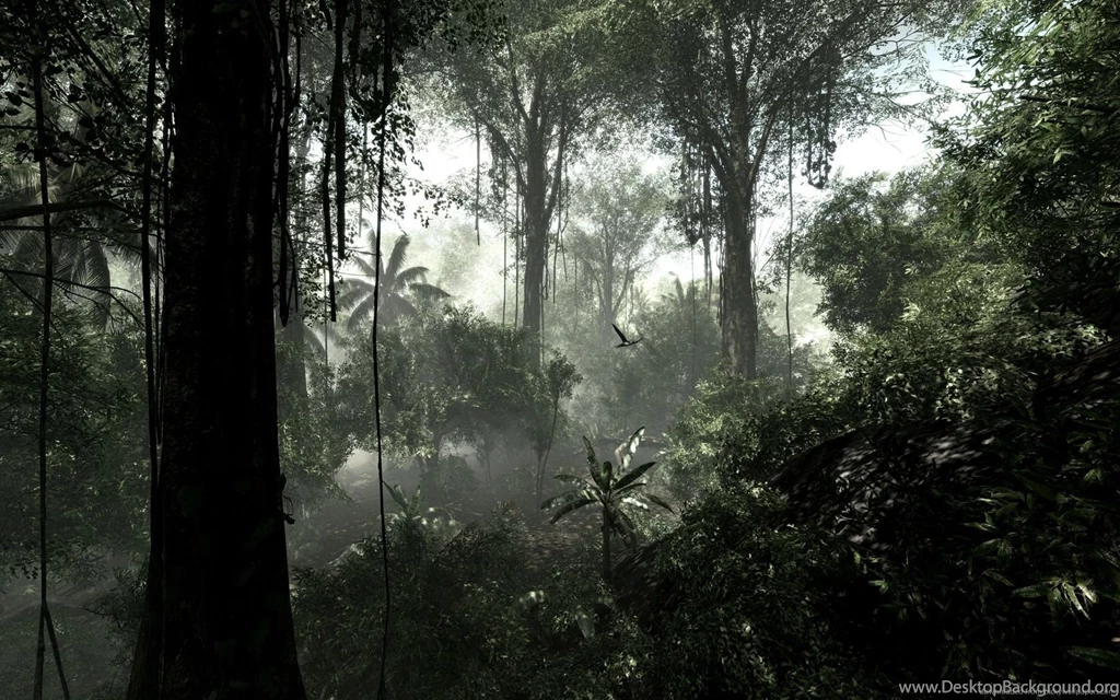 Download 1680x1050 Crysis Jungle Wallpapers