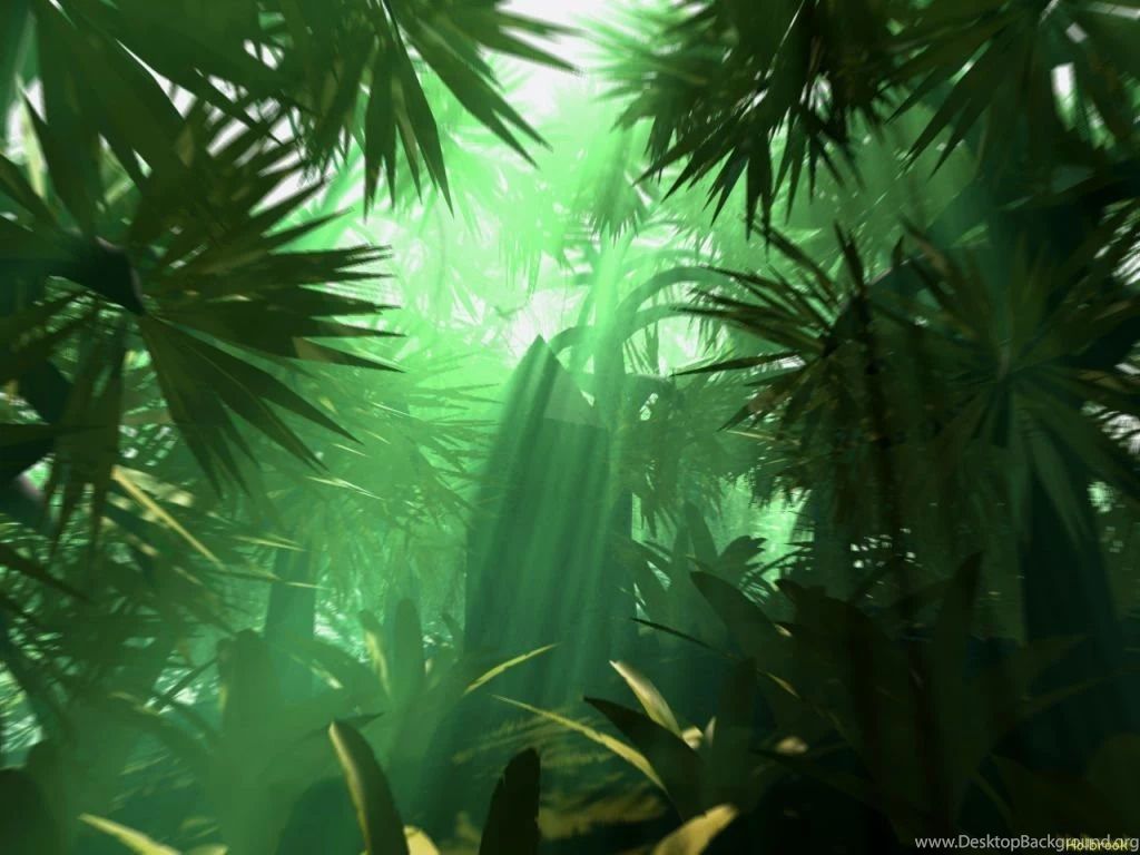 Jungle HD Backgrounds