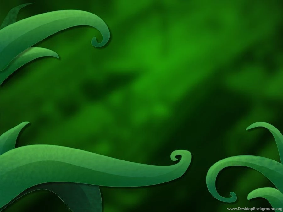 Jungle Wallpapers By Dakki000 On DeviantArt