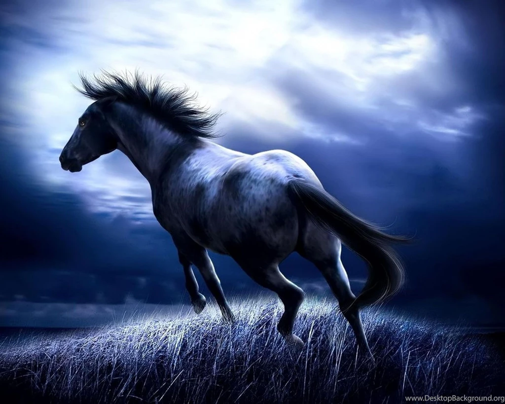 HD Wallpapers For Tablets Free Download Best HD Desktop Wallpapers ...