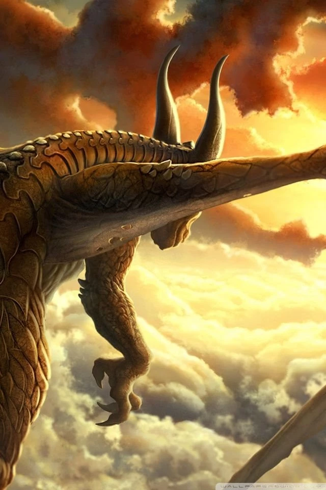 Dragons HD Desktop Wallpapers : High Definition : Fullscreen : Mobile
