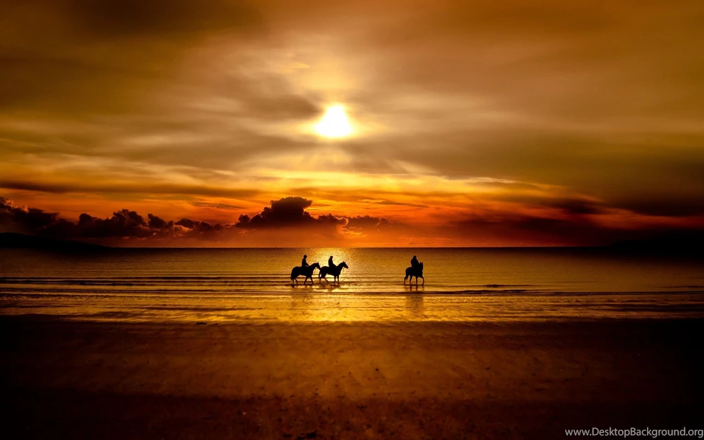 Horse Wallpaper_hd Wallpaper_download Free Wallpapers