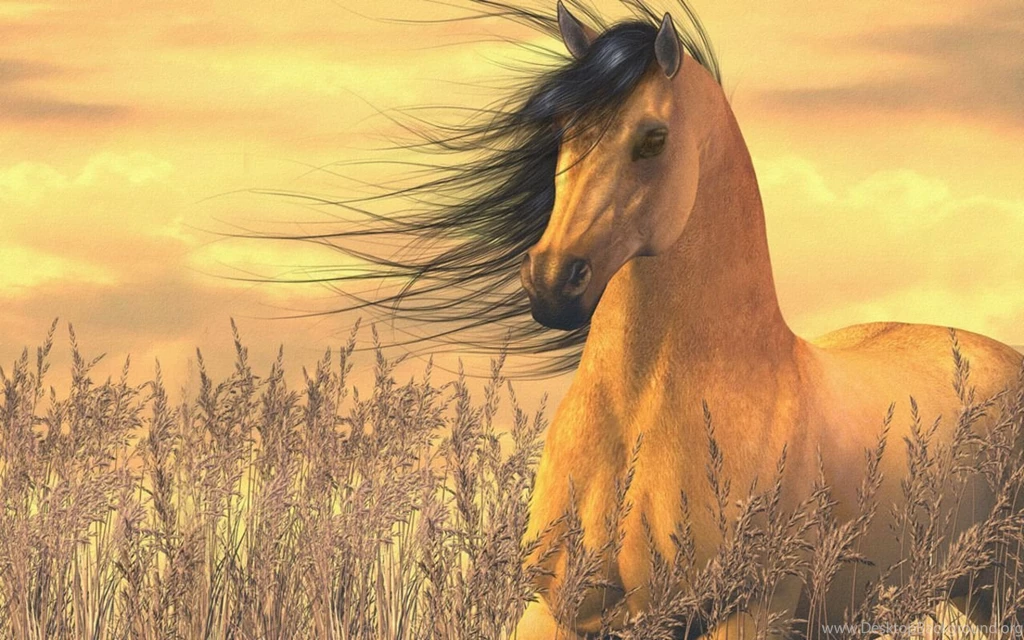 1023 Horse HD Wallpapers