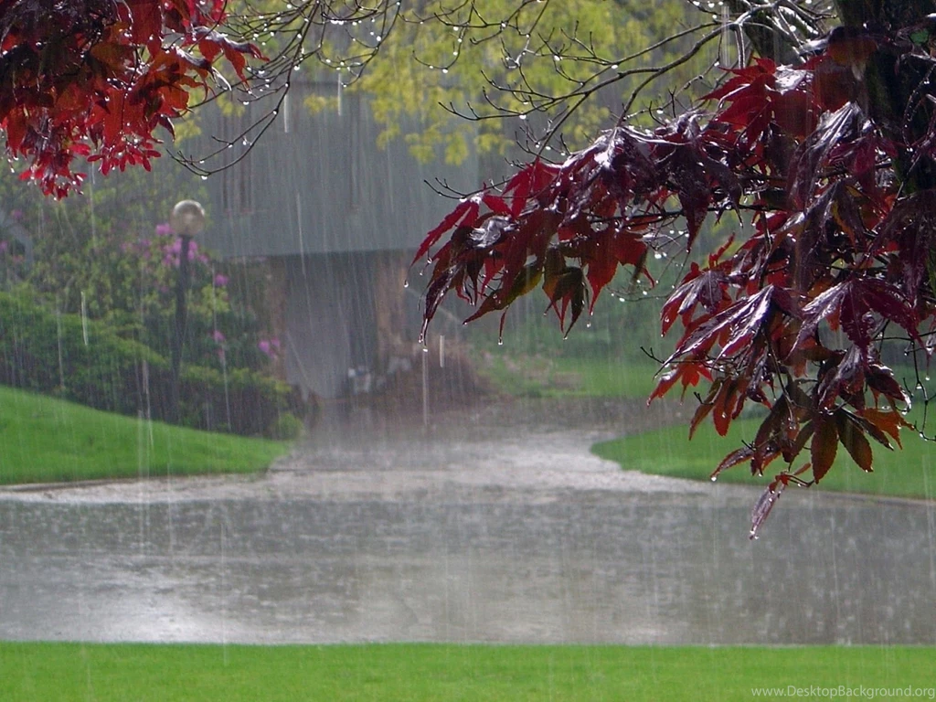 Rain Wallpapers Hd Wallpapers 28129