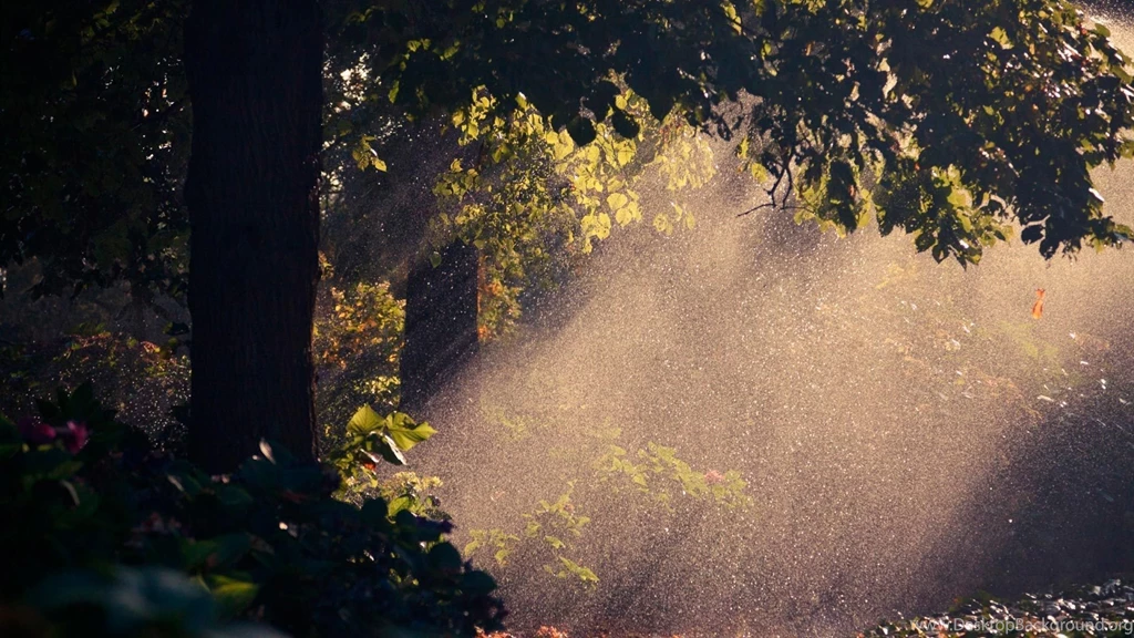 128 Rain HD Wallpapers