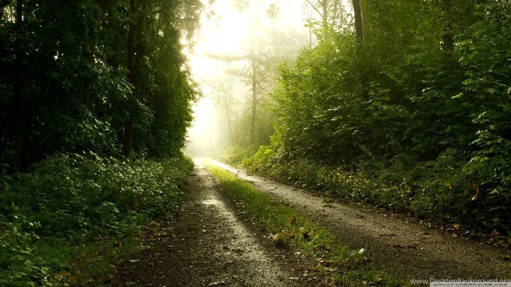 Sunshine After The Rain HD Desktop Wallpapers : High Definition ...