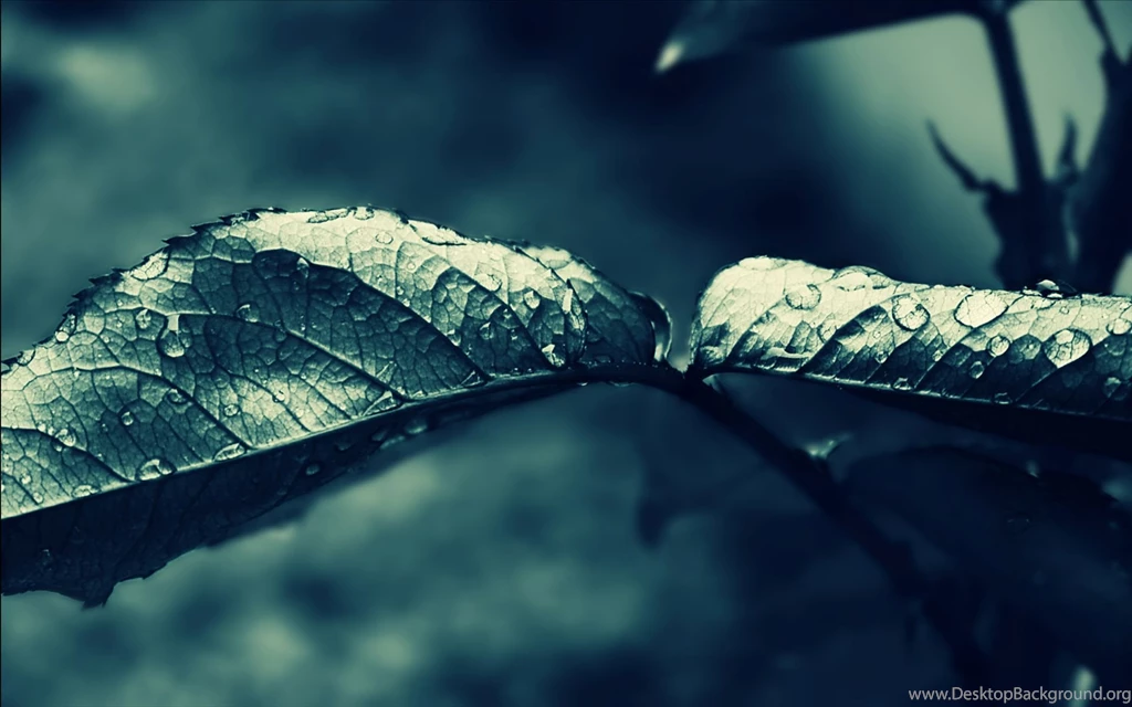 Theme Bin» Blog Archive » Dark Rain HD Wallpapers