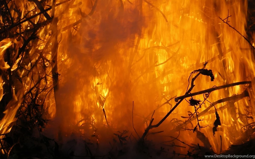 Fire_texture1409.jpg