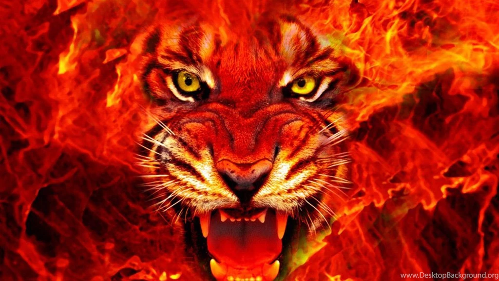 Fire Wallpapers