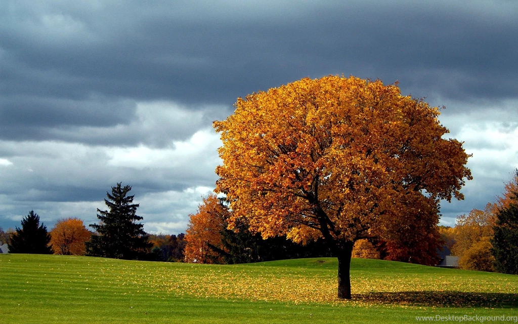 2560×1600 Wallpapers