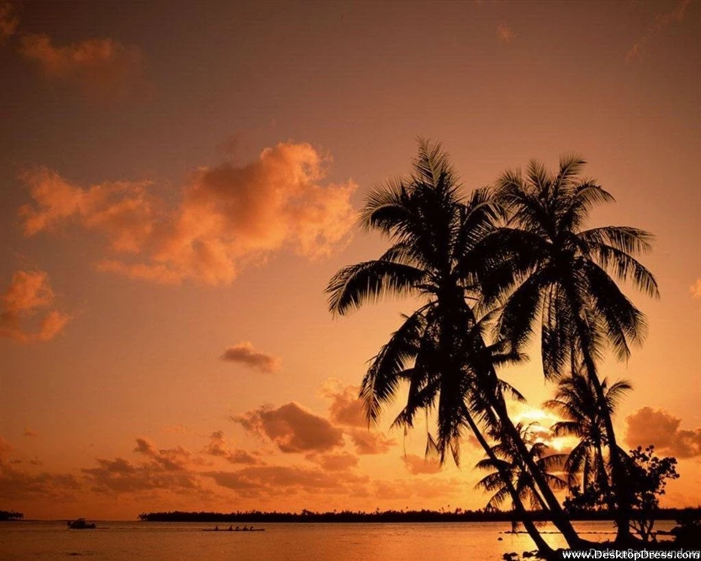 Desktop Wallpapers » Nature & Landscape Backgrounds » Page 2 » Www ...