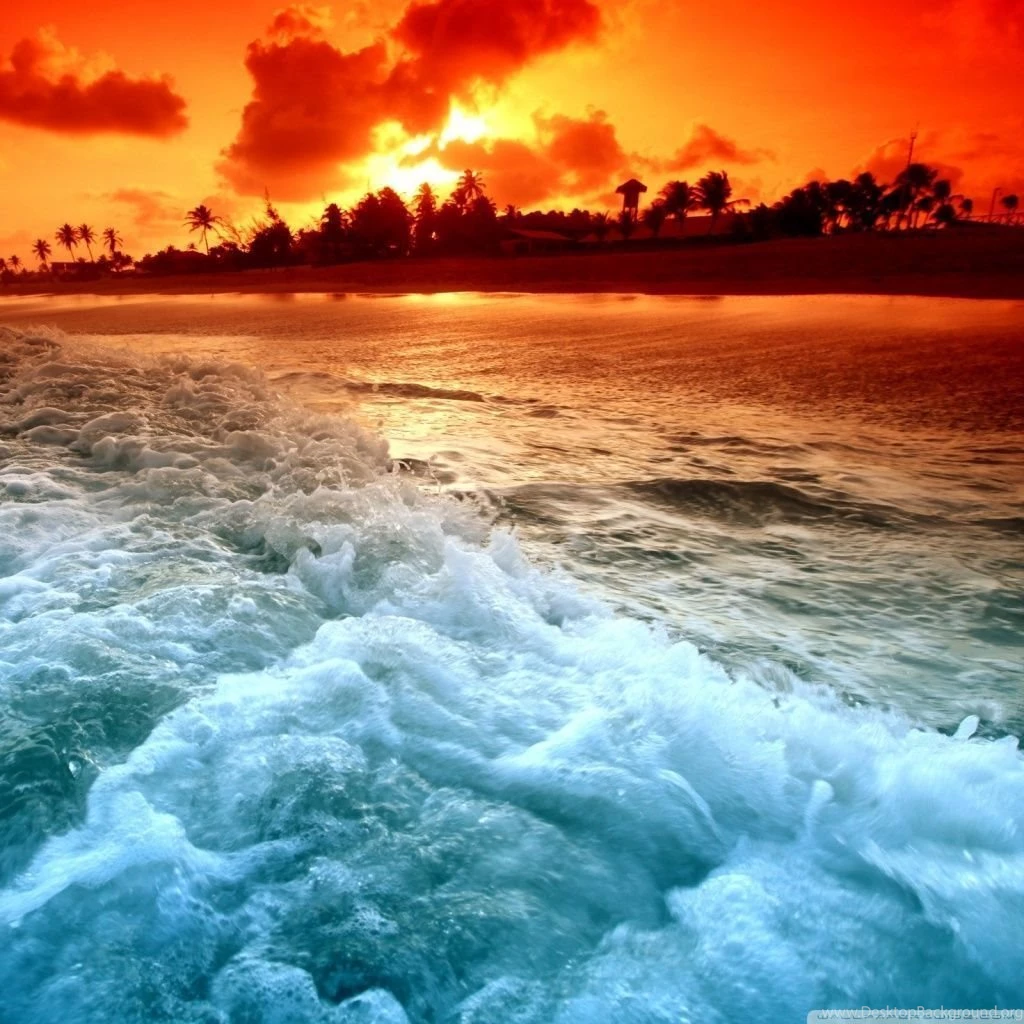 Tropical Beach Sunset HD Desktop Wallpapers : High Definition ...