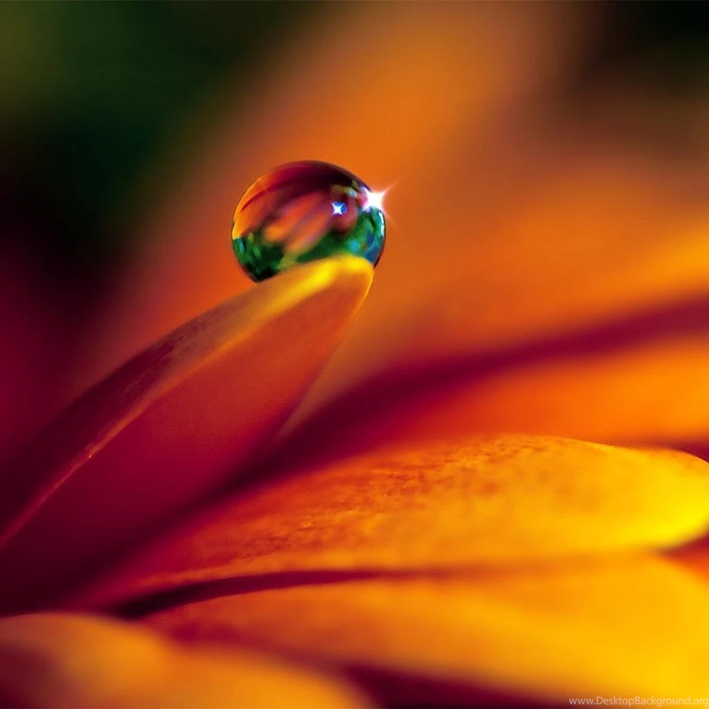 Wallpapers Ipad 2 Apple Awesome 97 1024 X 1024 Ipad 2 Apple ...