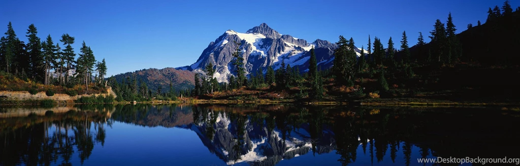 Panoramic Backgrounds