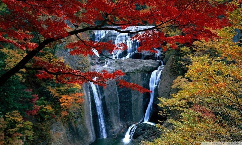 Waterfall, Autumn HD Desktop Wallpapers : High Definition ...