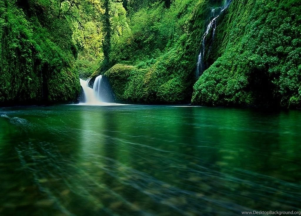 Forest Waterfall Wallpapers