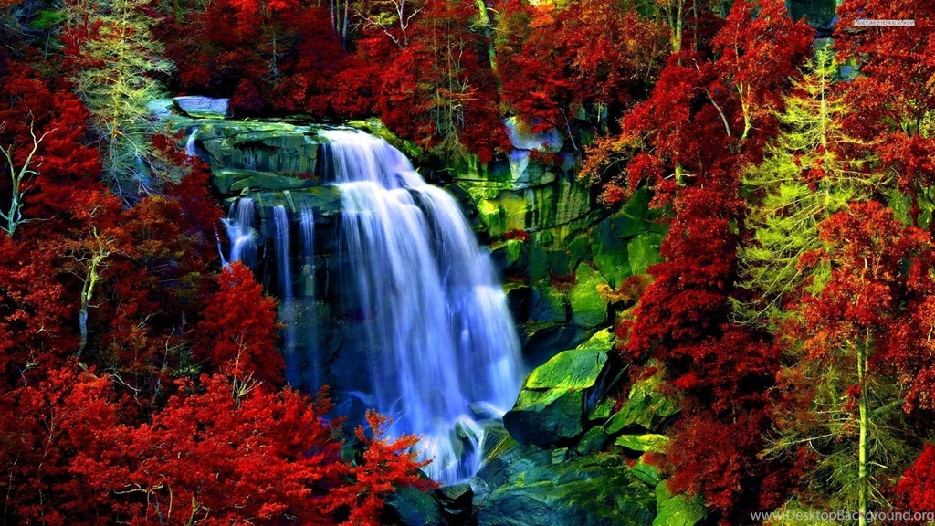 Blue Waterfall In The Copper Forest Wallpapers