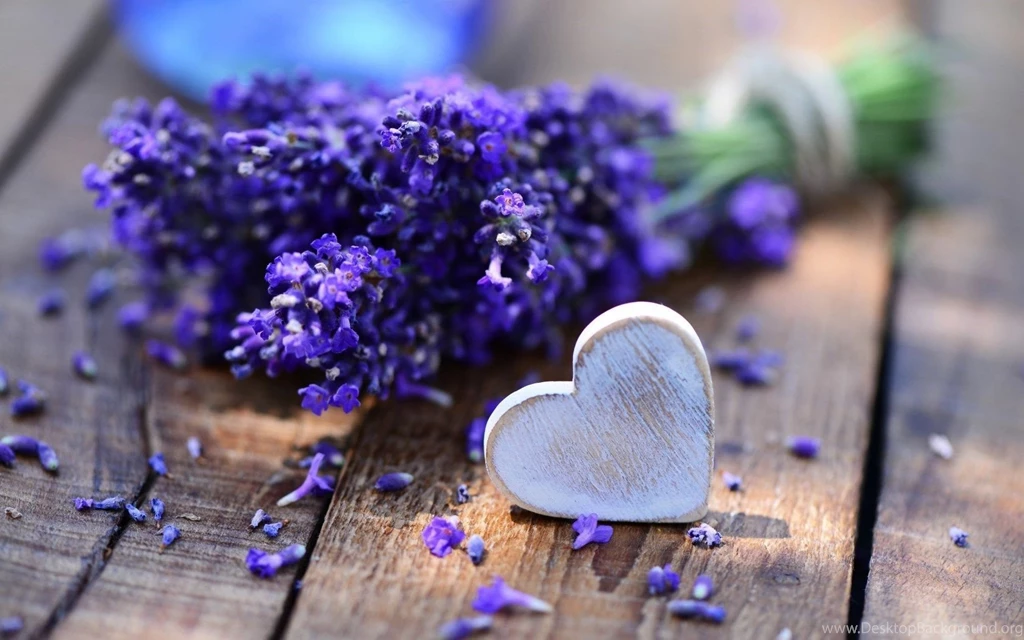 Bouquet, Lavender, Purple, Heart, Photo, Wooden, Buds, Hd, Wallpapers