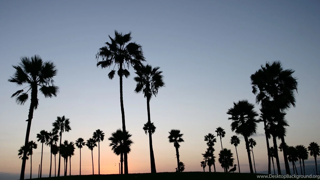 Los Angeles Wallpapers, Desktop Wallpapers » GoodWP.com