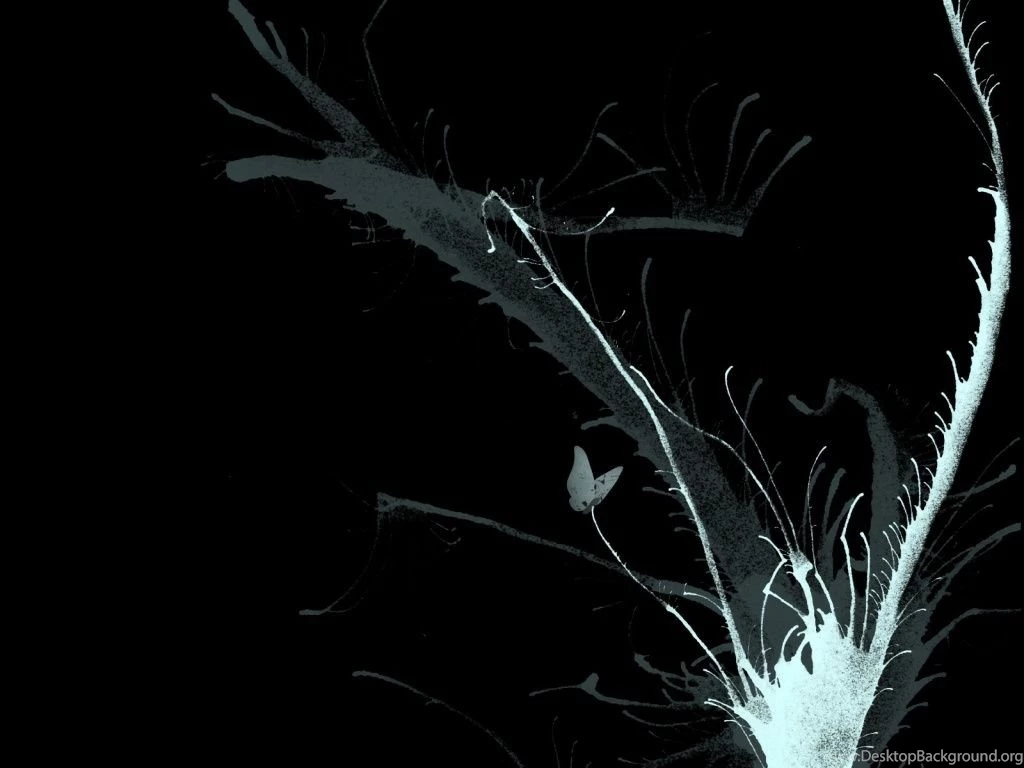 Black Wallpapers 1024x768 Wallpapers, 1024x768 Wallpapers ...