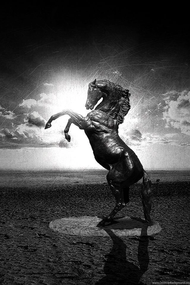 Download Wallpapers 640x960 Water, Black, White, Horse, Abstraction ...