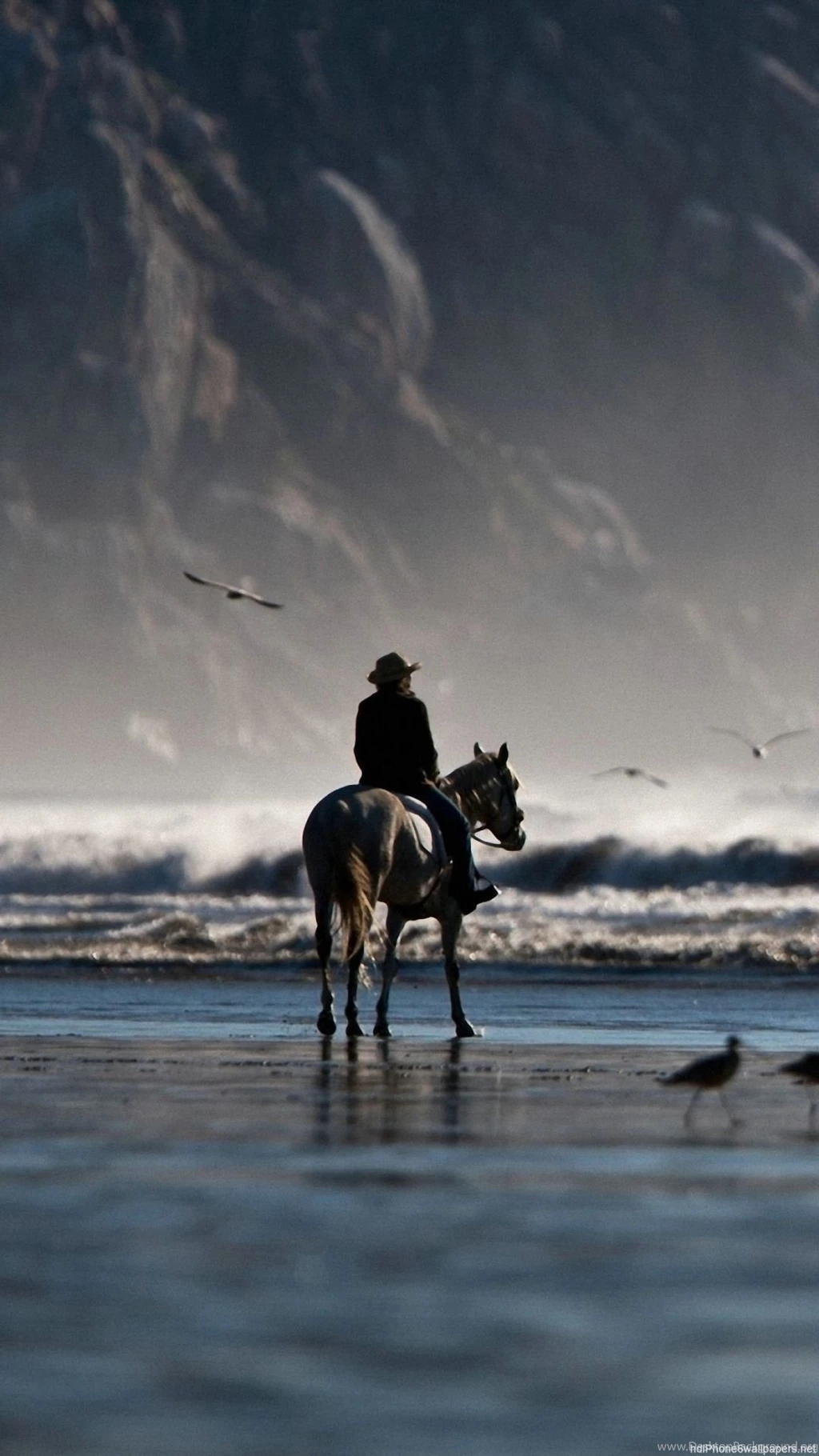 Horse Rider Bird Sea Beach Iphone 6 Wallpapers Hd And 1080p 6 Plus