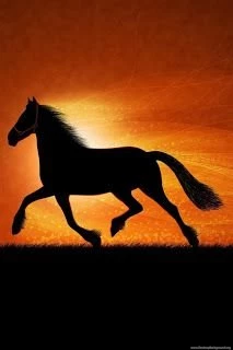 Black Horse Wallpapers For iPhone 4