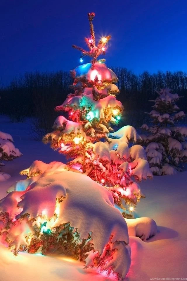 Christmas Wallpapers For Iphone 3