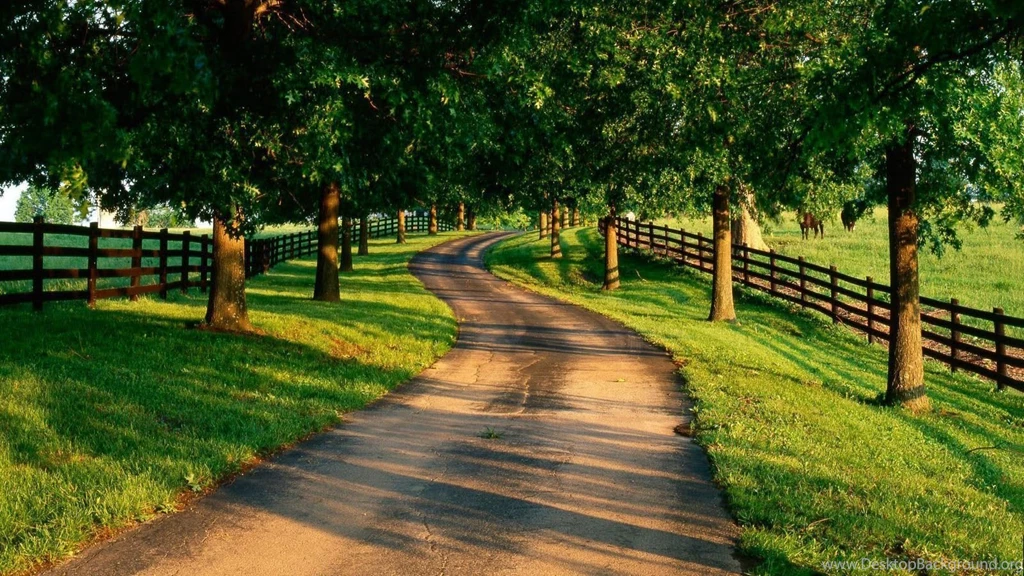 Summer Country Road Desktop wallpapers